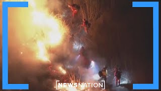 9 charged with looting as Palisades, Eaton fires scorch LA area | Dan Abrams Live