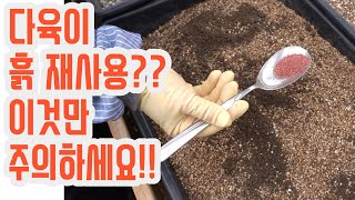 다육이 흙 재사용이요? 그냥 하시면 큰 일 납니다(多肉植物)(たにくしょくぶつ)