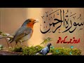 SURAH RAHMAN TARJUMA K SATH | BY QARI Al SHAIKH MUHAMMAD | EP 0065 | QURAN TILAWAT BEAUTIFUL VOICE