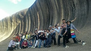 西澳-Perth美景全覽.伯斯.波浪岩.尖峰石陣.英皇公園.衝沙.凱倫山.亞伯尼.巴瑟頓木造長堤.疊層石2019.10.19-10.28