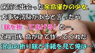 【泣ける話】病院で出会った余命数日の少女…必死に折った鶴が人生を変えた話。