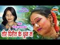 TOR PIRIT KE DHUN MA - तोर पिरीत के धुन म || DILIP SHADANGI & CHHAYA CHANDRAKAR - CG SONG