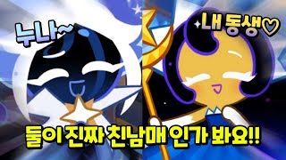 달빛 여신님과 스타더스트 쿠키와 만났다🌠 #3