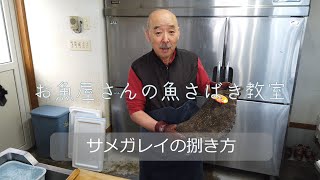 お魚屋さんの魚さばき教室～サメガレイ編～