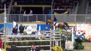 HorseJunkiesUnited.com - Jill Henselwood and George win Hickstead WC GP 2012 Royal Winter Fair