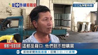 欲哭無淚! 鳳梨農怒批中國封殺鳳梨乃為\