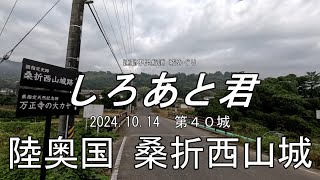 運動不足解消 城めぐり しろあと君 040 桑折西山城