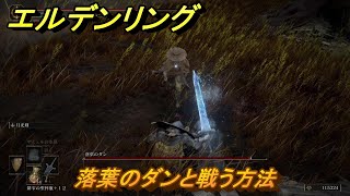 エルデンリングDLC　落葉のダンと戦う方法　＃３９　【ELDEN RING】