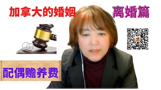 索要配偶赡养费时, 法官考虑哪些因素? 可以领多少年？与税务有关？https://youtu.be/nmINkiW-jco