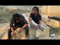 badla 2 new action video by faizan khan from lucknow uttar pradesh viralvideo action youtube