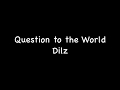 Dilz - Question to the World