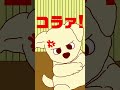 ボジョレーのダジャレーランド・その２１「しゃこうだんす」 shorts