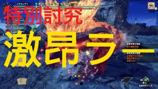 【MHRSB】メタルさん特別討究に挑む　激昂したラージャン【片手剣】