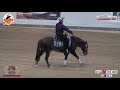 366 breeders derby open finale sek 2 nrha breeders derby 2018