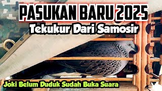 Kita Test Pasukan Baru 2025, Tekukur Dari Samosir 🔥