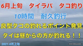 【タコ釣り】【タイラバ】明石沖6月上旬、10時間耐久タイラバ・明石タコ釣行！