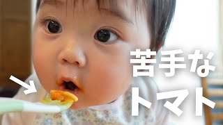 【生後278日】苦手なトマトを食べた時の反応がかわいすぎたｗ トマトペーストを使ったトマトスパをもぐもぐ食べる生後9ヶ月の赤ちゃんに癒される (Day 278. Ponu tried tomato!)