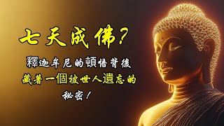 七天成佛？釋迦牟尼的頓悟背後，藏著一個被世人遺忘的秘密！| 釋迦牟尼 | 覺悟 | 佛教哲學 | 禪修 | 佛法智慧 | 頓悟 | 自我探索 | 修行 | 內心覺察 | 開悟 | 思維模式