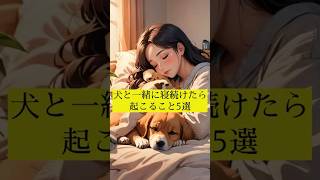 犬と一緒に寝続けたら起こること5選 #犬の雑学 #犬のいる暮らし #犬の豆知識 #犬のいる生活 #犬を飼うということ #犬と寝る