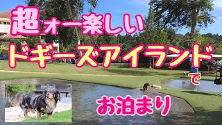 【ワンコとお泊り～小谷流の里 ドギーズアイランド】愛犬りーる君の誕生日のお祝いドギーズアイランドへ。思った以上にドッグフレンドリーな施設で、超ォー楽しめました(^O^)／