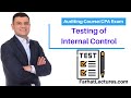 Testing Internal Control