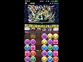 【パズドラ】機械龍ラッシュ　高速周回　半蔵２【ジュウザpt】