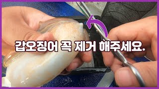 낚시로 잡은 갑오징어 보관법