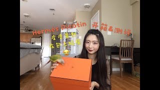 Hermès Picotin 18 Unboxing\u0026Review【爱马仕包包开箱\u0026测评】菜篮子 金棕