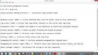 oracle 11g background process