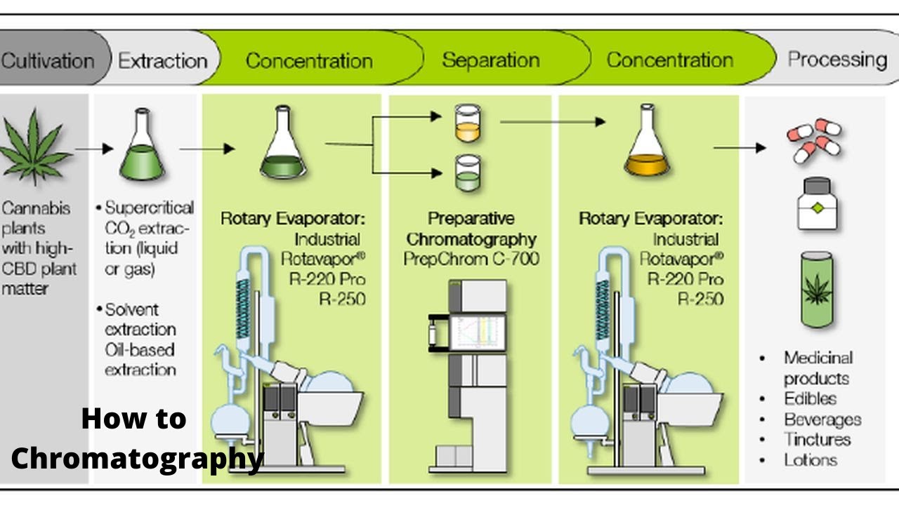 How To Do Chromatography For Cannabis And Hemp Oil - YouTube