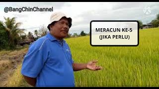 Meracun ke-5 (jika perlu)