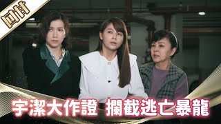 《好戲回甘》市井豪門 EP151 宇潔大作證  攔截逃亡暴龍