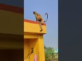 hanuman video