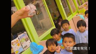 【信学会】裾花幼稚園ってどんなところ？