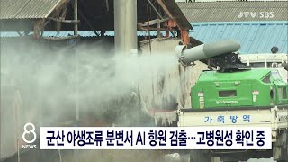 [JTV 8 뉴스]  군산 야생조류 분변서 AI 항원 검출...고병원성 확인 중