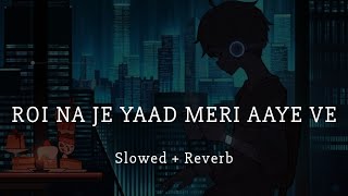 Roi Na Ninja (Slowed + Reverb) Shiddat | Nirmaan | Goldboy | Tru Makers | Latest Punjabi Songs