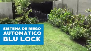 Sistema de riego automático Blu Lock