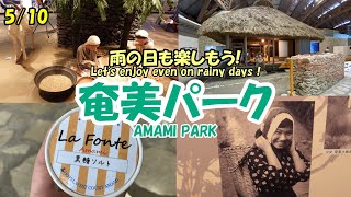 【奄美大島】路線バスの旅 3日目_1 雨の日は奄美パークで楽しんだ（I enjoyed Amami Park on the rainy day）