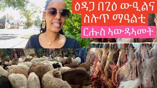 በጊዕ ናይ ኣውዳኣመት ከመይ ፈላሊና ነቐምጣ ኣብ ፍርጅና