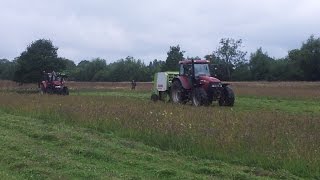 How to create a wildflower meadow in 5 mins