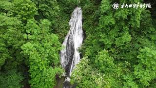 県北涼風滝巡り③：七滝（小坂町）