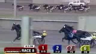 2008  Hambletonian Final -- USTA Harness Racing