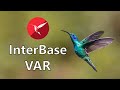 Getting Started as an InterBase VAR - How to become an InterBase VAR?