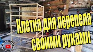 Клетка для перепелов / Первый вывод перепёлок