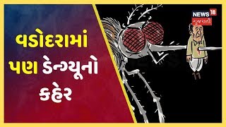 Vadodaraમાં ડેન્ગયૂની કહેર યથાવત, અત્યાર સુધીનો મૃત્યુઆંક 7 થયો