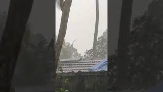 മഴ... മഴ.. മഴ മാനത്തുണ്ടൊരു മലർമഴ.... മധുമഴ... മധുരമഴ 💦🌧️🌧️🌧️🌧️🌧️🌧️🌧️🌧️🌧️🌧️🌨️