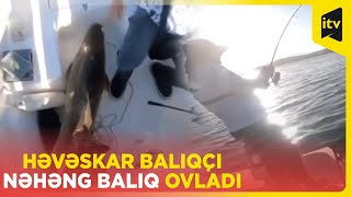 Türkiyədə həvəskar balıqçı 48 kiloluq balıq tutdu