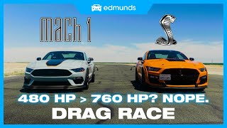 Drag Race! Shelby GT500 vs. Mustang Mach 1 | Which Mustang Is the Fastest Mustang?