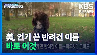 [글로벌K] 올해 미국서 가장 인기 끈 반려견 이름…‘파우치’,‘코비드’ / KBS  2021.12.02.