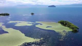 夏しか見られない絶景「琵琶湖」(ドローン空撮　４ｋ動画)